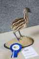 emu